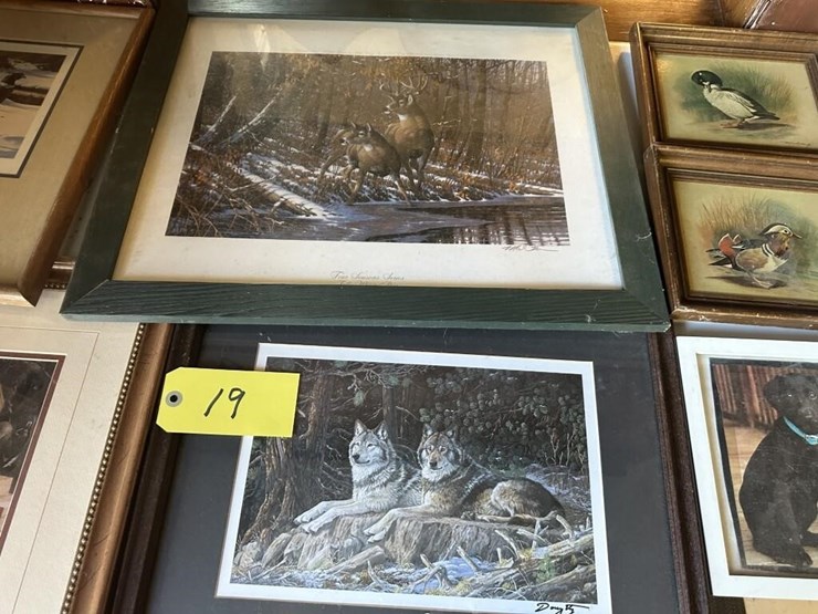 ducks-unlimited-collection-image-3