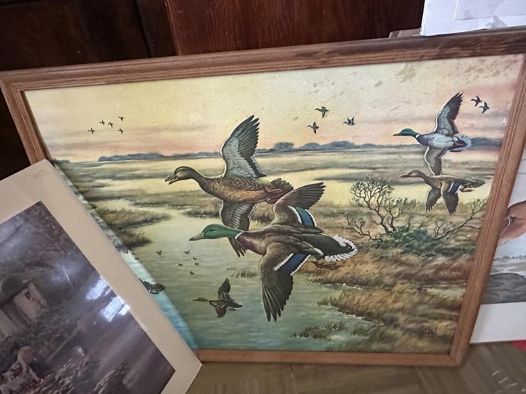 wildlife-framed-portraits-image-3