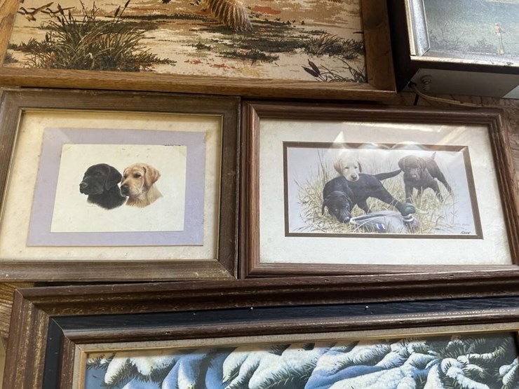 vintage-wildlife-framed-portraits-image-4