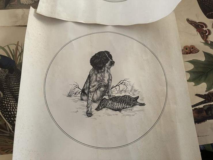 wildlife-portraits-image-12