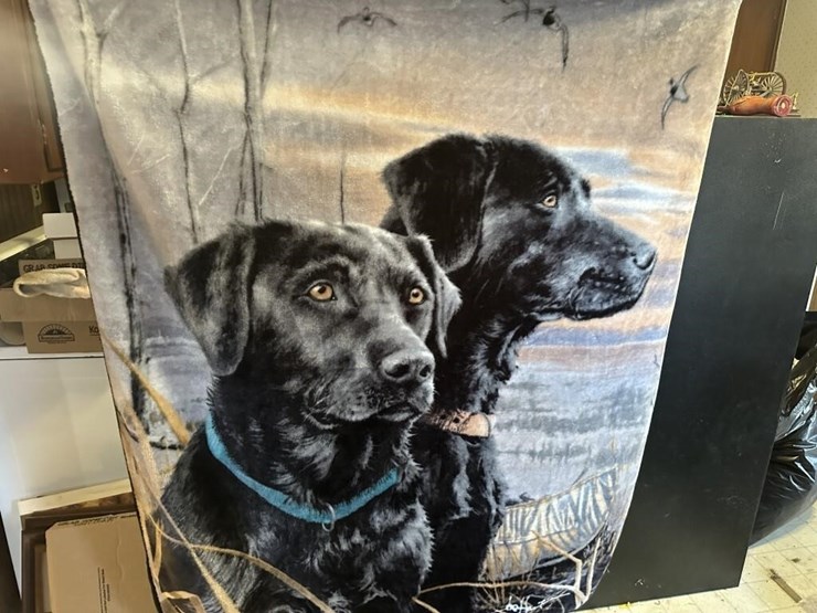 misc.-blankets-&-quilts-image-5