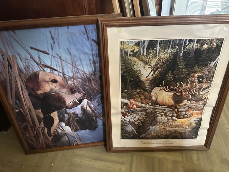 wildlife-framed-portraits-image-3