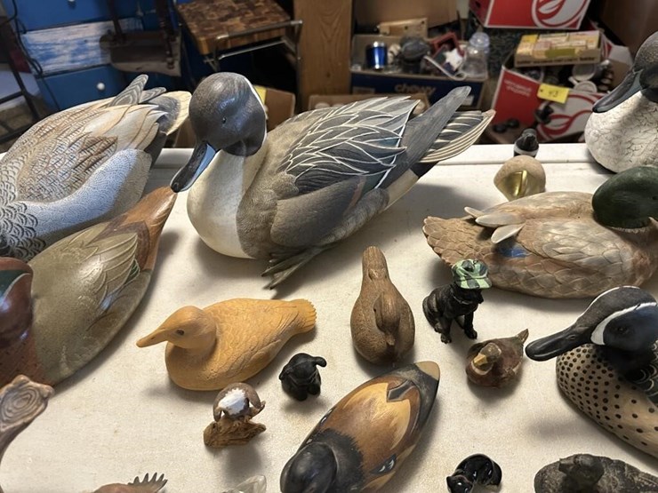 duck-sculpture-displays-image-4