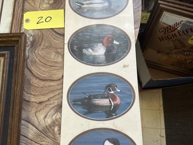 vintage-wildlife-framed-portraits-image-7