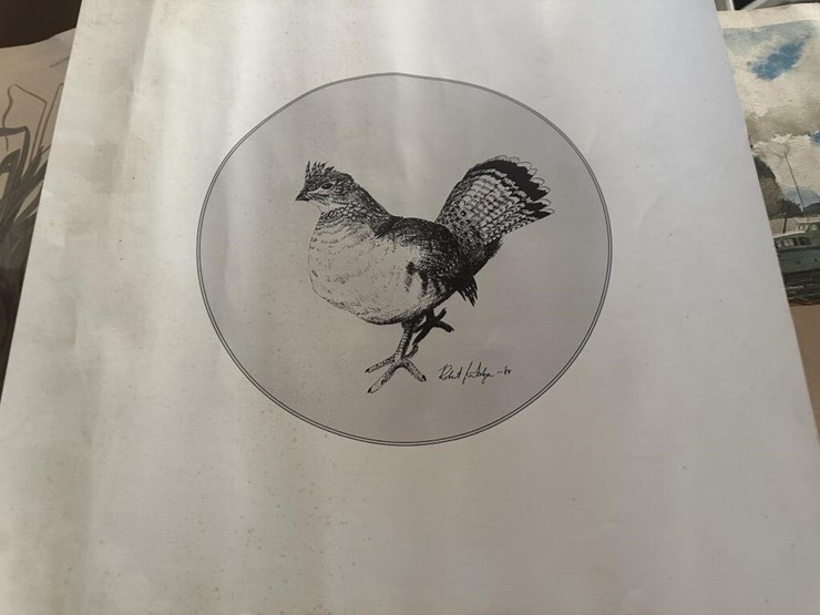 wildlife-portraits-image-11