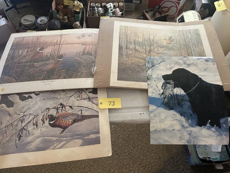 wildlife-portraits-image-1