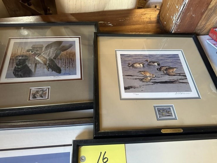 ducks-unlimited-collection-image-5