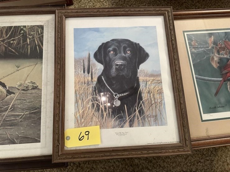 wildlife-framed-portraits-image-3