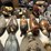 vintage-wooden-ducks-&-displays-image-4