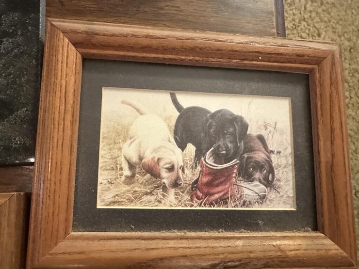 winchester-&-wildlife-framed-portraits-image-6