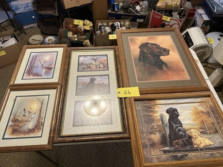 wildlife-framed-portraits-image-1