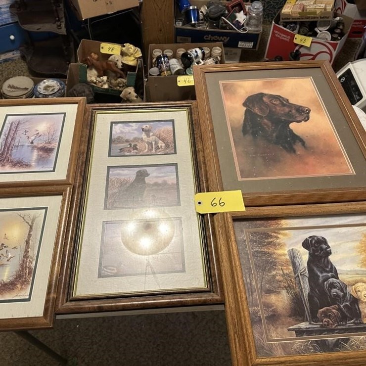 Wildlife Framed Portraits