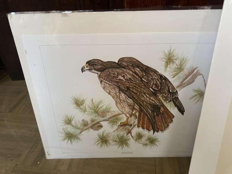 bird-portraits-image-2