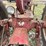 1950-farmall-h,-not-running-image-9