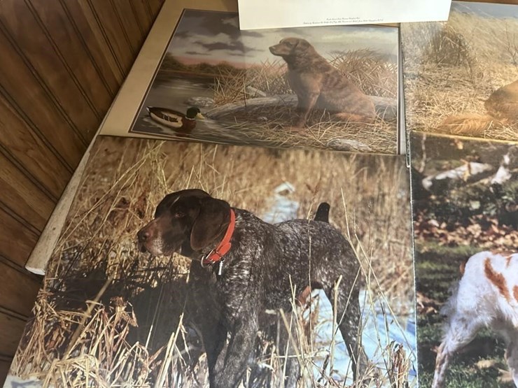 vintage-wildlife-portraits-image-2