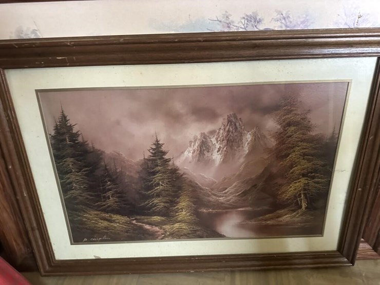 wildlife-framed-portraits-image-6