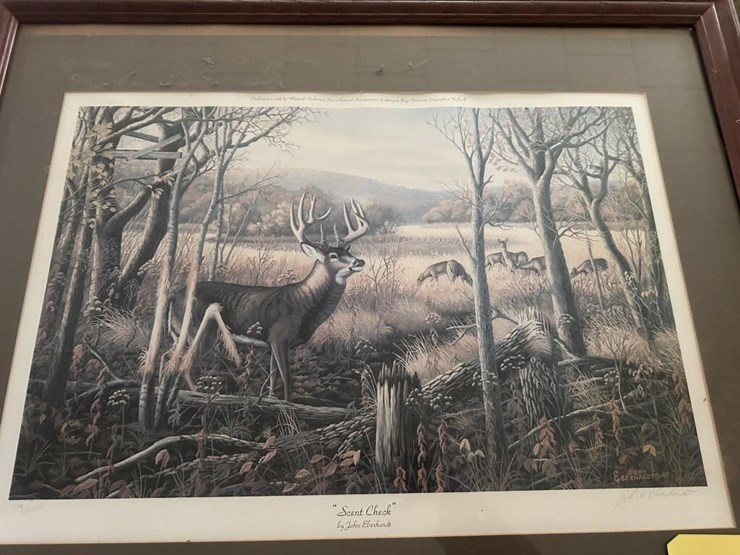 wildlife-framed-portraits-image-2