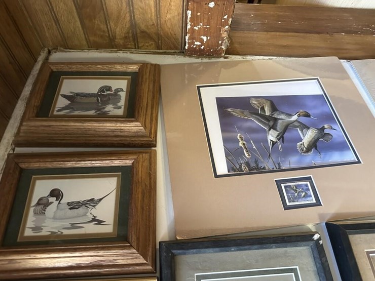 ducks-unlimited-collection-image-3