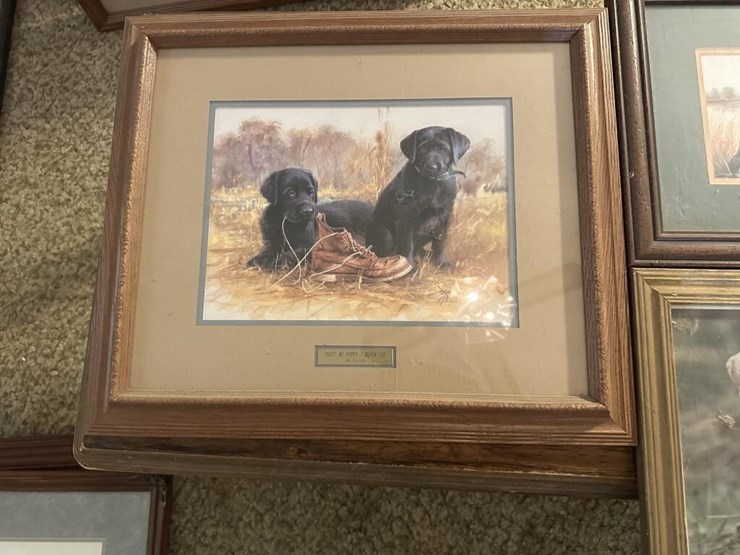 winchester-&-wildlife-framed-portraits-image-5