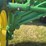 john-deere-gp-image-26