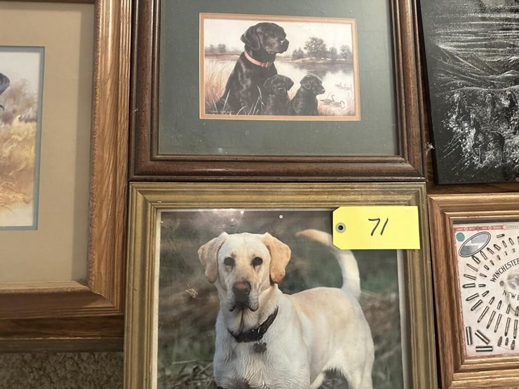 winchester-&-wildlife-framed-portraits-image-3