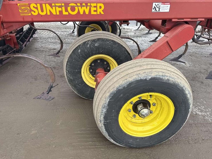 sunflower-6432-33-image-15