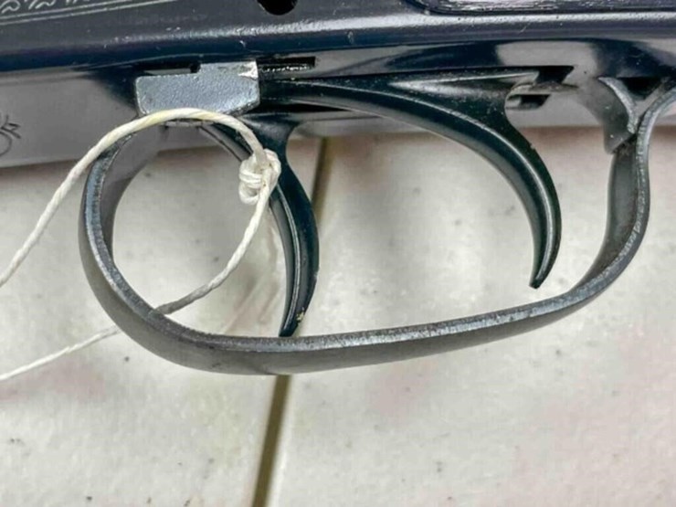 daisy-bb-gun-rifle-image-2