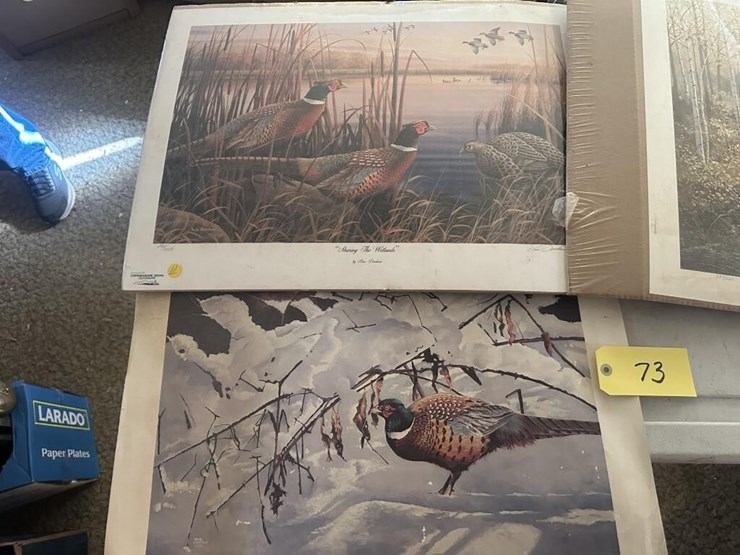 wildlife-portraits-image-6