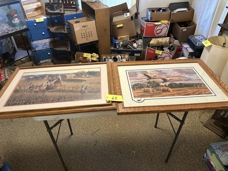 wildlife-framed-portraits-image-1