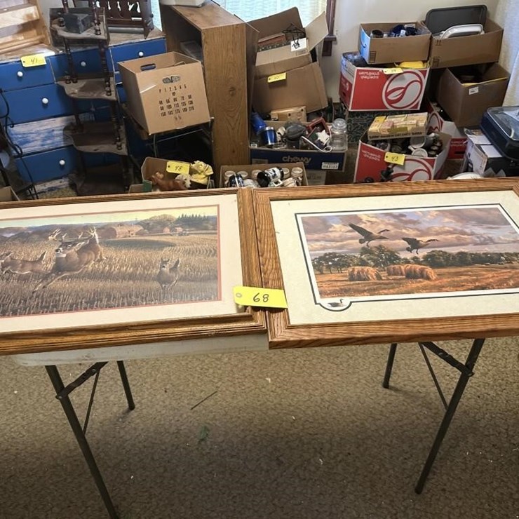 Wildlife Framed Portraits