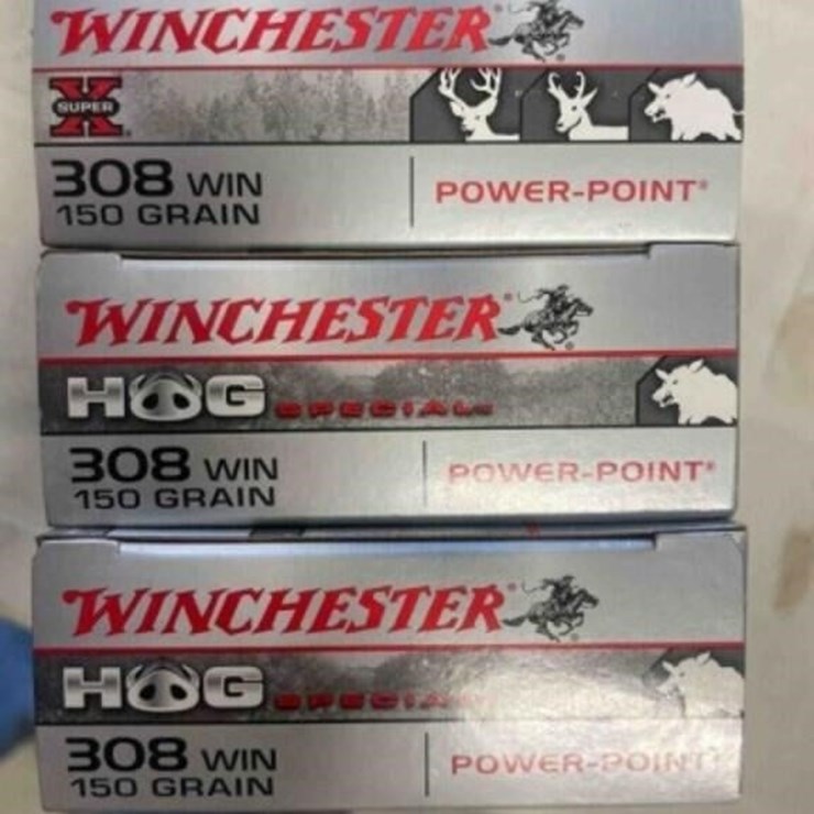 Winchester .308 ammo