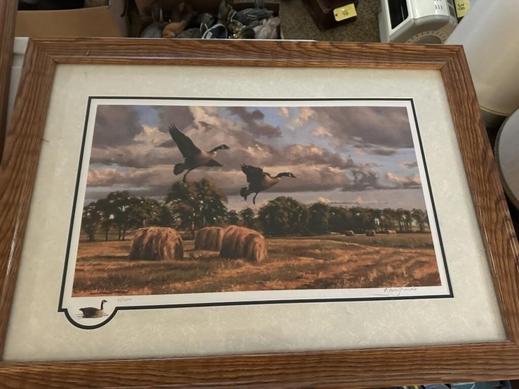 wildlife-framed-portraits-image-3