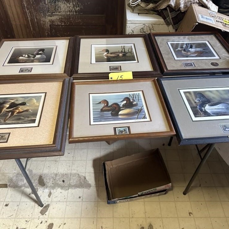 Ducks Unlimited Collection