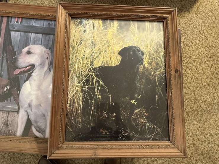 hunting-dog-framed-portraits-image-3