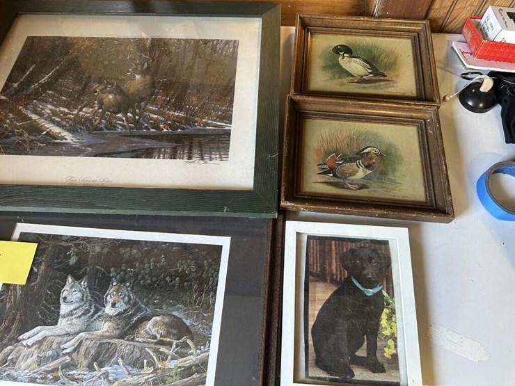 ducks-unlimited-collection-image-4