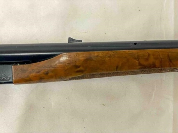 daisy-bb-gun-rifle-image-5