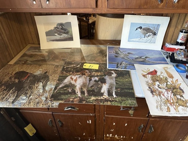 vintage-wildlife-portraits-image-1