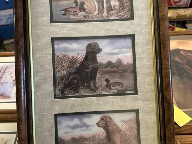 wildlife-framed-portraits-image-3