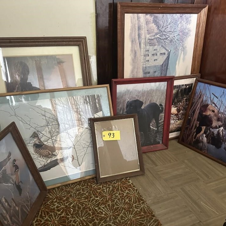 Wildlife Framed Portraits