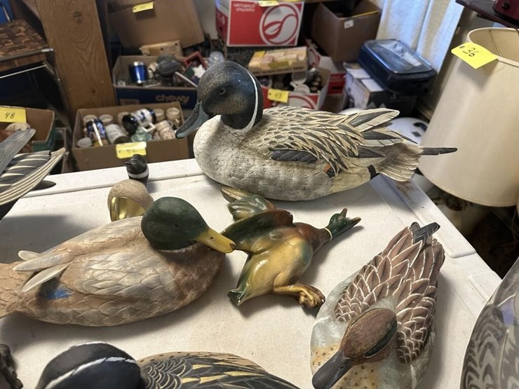 duck-sculpture-displays-image-5