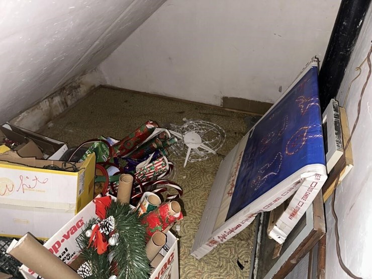 misc.-christmas-decor-image-3