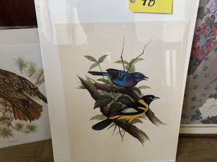 bird-portraits-image-3