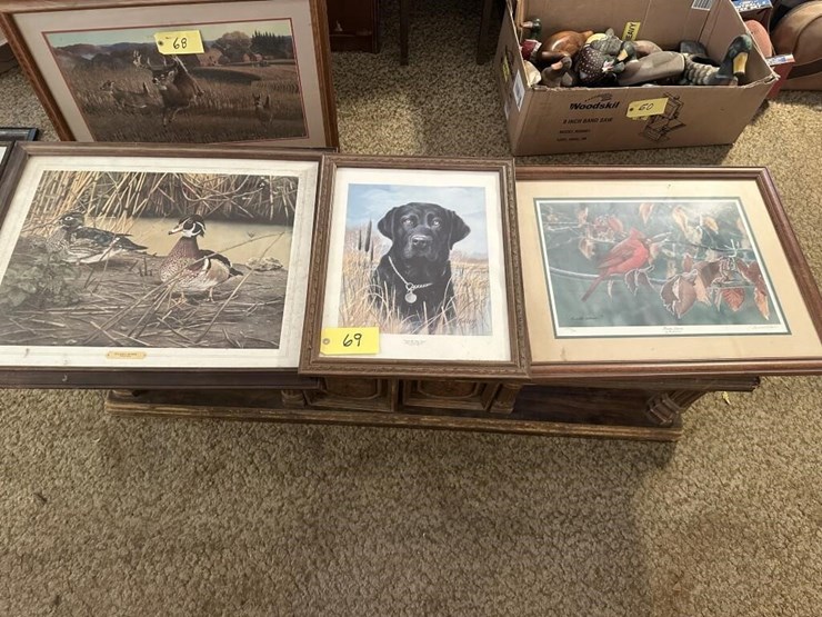 wildlife-framed-portraits-image-1