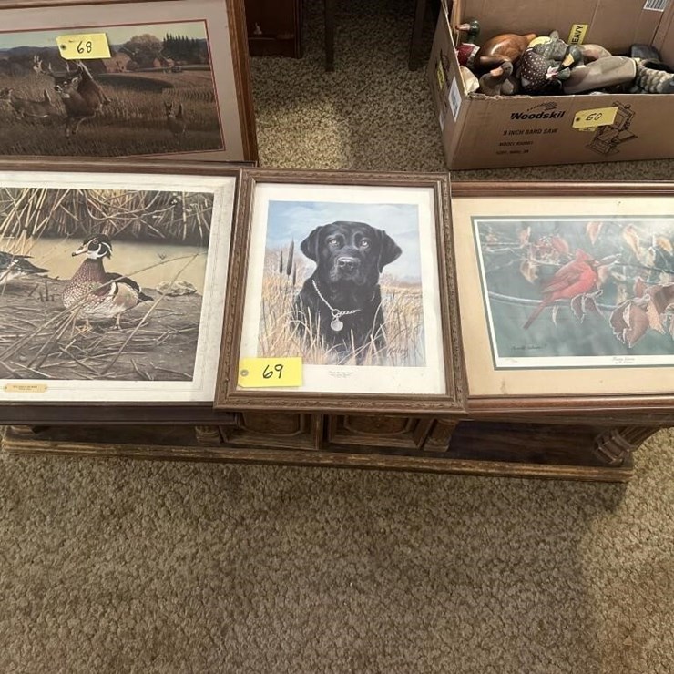 Wildlife Framed Portraits