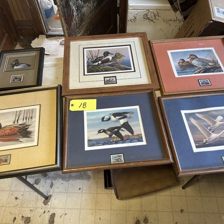 Ducks Unlimited Collection