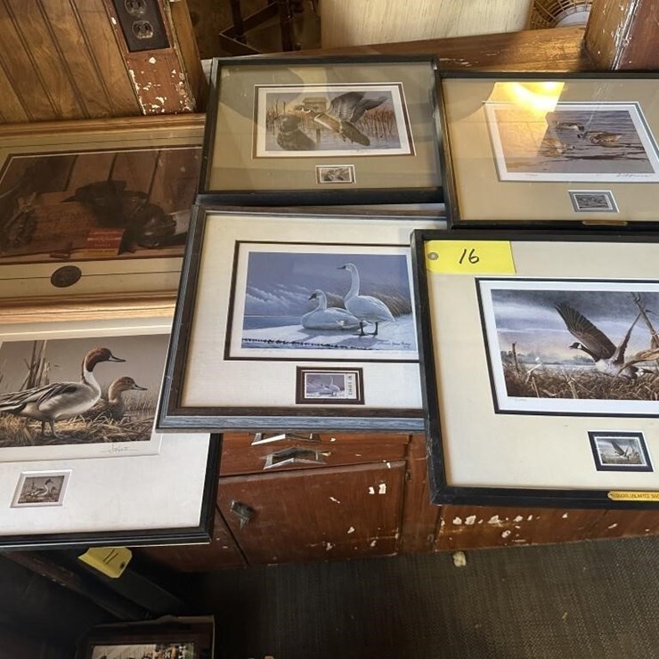 Ducks Unlimited Collection