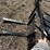 new-mini-skidsteer-pallet-forks-image-2