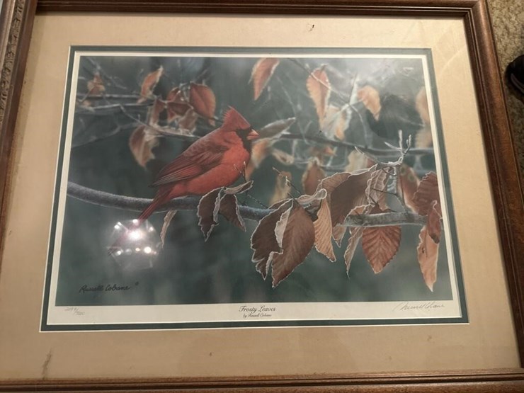 wildlife-framed-portraits-image-4