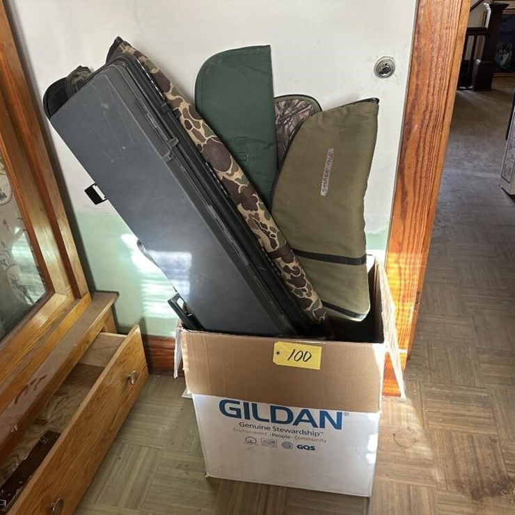 Gun Cases