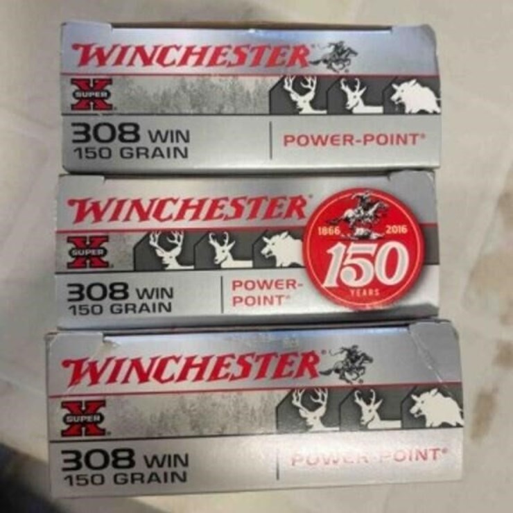 Winchester .308 ammo